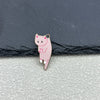 Pink Cat