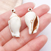 White Seashell 1
