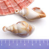 Blue Seashell 6