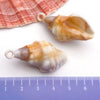 Blue Seashell 13