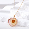 Pale Pink Daisy