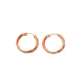 Orange Hoop and Red Fruit Leaf Stud Earring Collection view 5