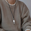 Silver Fish
