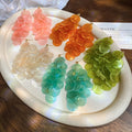 Translucent Sequin Cluster Earrings in Four Color Options view 1