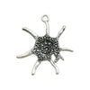 Gray Starfish 2