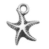 Gray Starfish 3