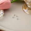 Clear Round Zircon Screw Back Stud Earrings Three Sizes view 4