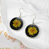 Yellow Daisy