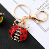 Red Jeweled-Ladybug