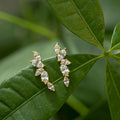 Gold White Gold Olive Leaf Climber Stud Earrings Clear view 2
