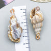 Yellow Seashell 6