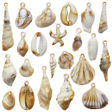 Multicolor Seashell Shell Charms with 5 Listed Options