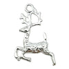 White Reindeer