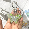 Green White Butterfly