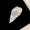Silver Leaf