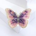 Translucent Enamel Butterfly Brooch in Four Gradient Colors view 6