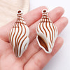 Brown Seashell 13