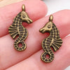 Red Seahorse 2