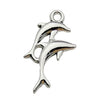 Gray Dolphin 3