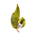 Yellow Gold Tone Leaf Enamel Pearl Look Two Designs Metal Brooch Pin view 1