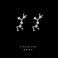 Silver Crystal Zodiac Constellation Stud Earrings Signs view 8