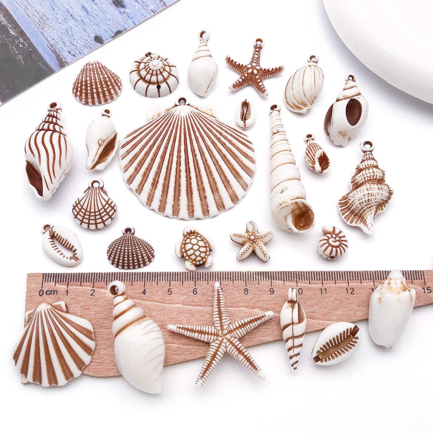 Acrylic Shell Conch Starfish Charm Pendants