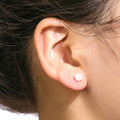 Clear Translucent Camellia Delicate Small Stud Earrings view 4