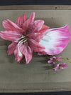Pink Lily