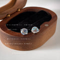 Silver Tone Mini Iridescent Planet Stud Earrings For Women view 3
