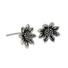 Silver Sunflower