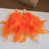 Orange Feather