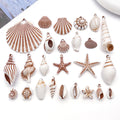 Brown Seashell and Starfish Shell Charms with 81 Listed Options view 1