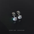 Round Clear Cubic Zirconia Screw Back Stud Earrings Five Sizes view 6