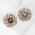 Round Radiating Crystal Brooch In Champagne And Red view 1