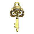 Antique Gold Tone Skeleton Key Charms in Twenty Designs view 11