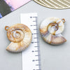 Yellow Seashell 5