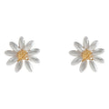 Translucent White Daisy Flower And Gold Tone Center Stud Earrings view 5