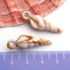 Blue Seashell 9