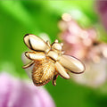 Bee Motif Stud Earrings Silver and Gold Tone Metal Pair view 4