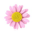 Colorful Daisy Flower Brooch with Textured Center Decorative Metal Pin view 5