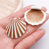 Brown Shell 4