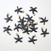 Black Starfish