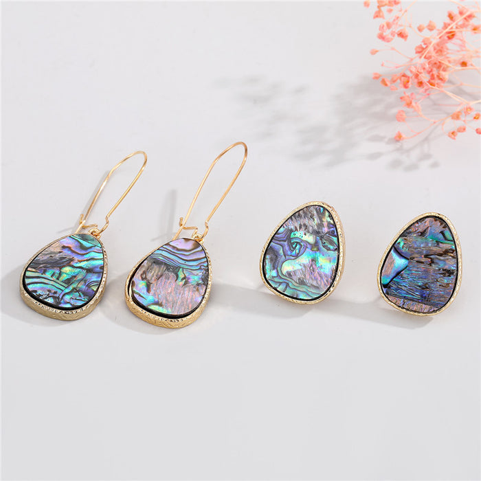 Gold Tone Irregular Abalone Shell Drop and Stud Earrings