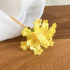 Yellow Bloom