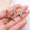 Brown Starfish 2