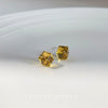 Amber Cube