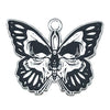 Blue Butterfly 1