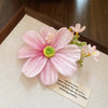 Pink Daisy