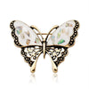Black Butterfly Six