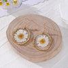 White Daisy